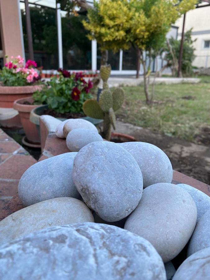 Curani House Apartamento Ulcinj Exterior foto